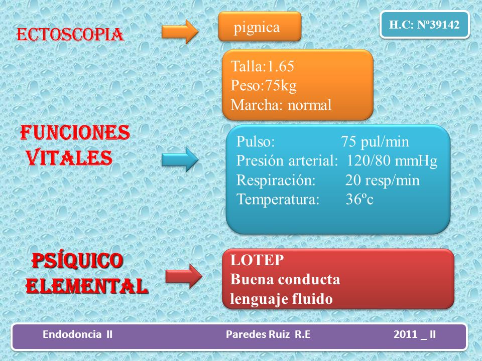 Endodoncia II Paredes Ruiz R.E 2011 _ II