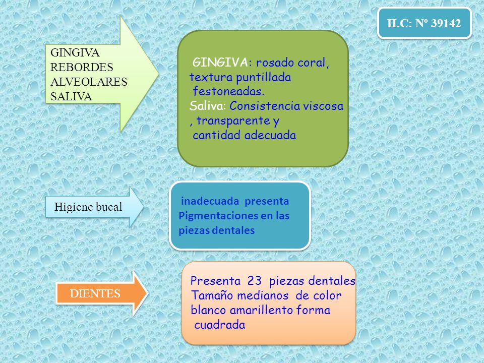 H.C: Nº H.C: Nº GINGIVA. REBORDES. ALVEOLARES. SALIVA. GINGIVA: rosado coral, textura puntillada.