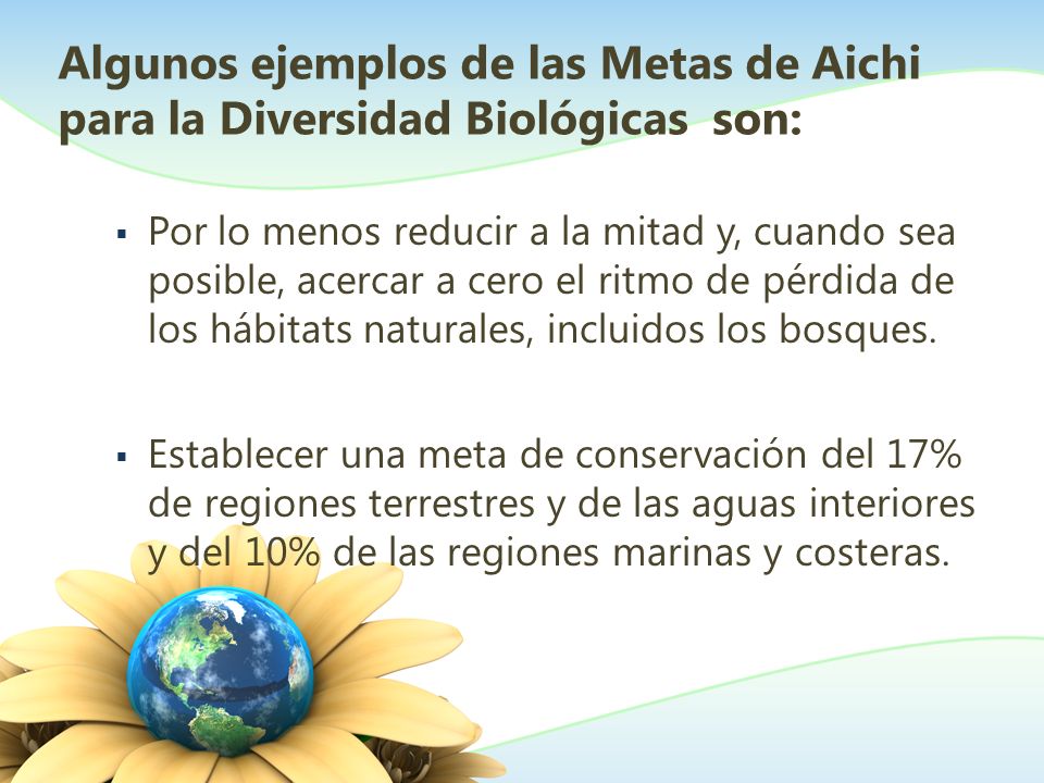 Algunos ejemplos de las Metas de Aichi para la Diversidad Biológicas son: