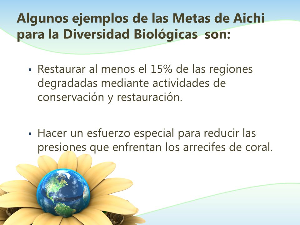 Algunos ejemplos de las Metas de Aichi para la Diversidad Biológicas son:
