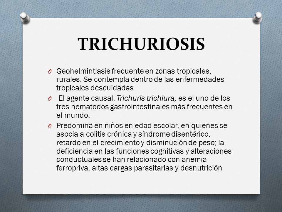 TRICHURIOSIS Geohelmintiasis frecuente en zonas tropicales, rurales. Se contempla dentro de las enfermedades tropicales descuidadas.