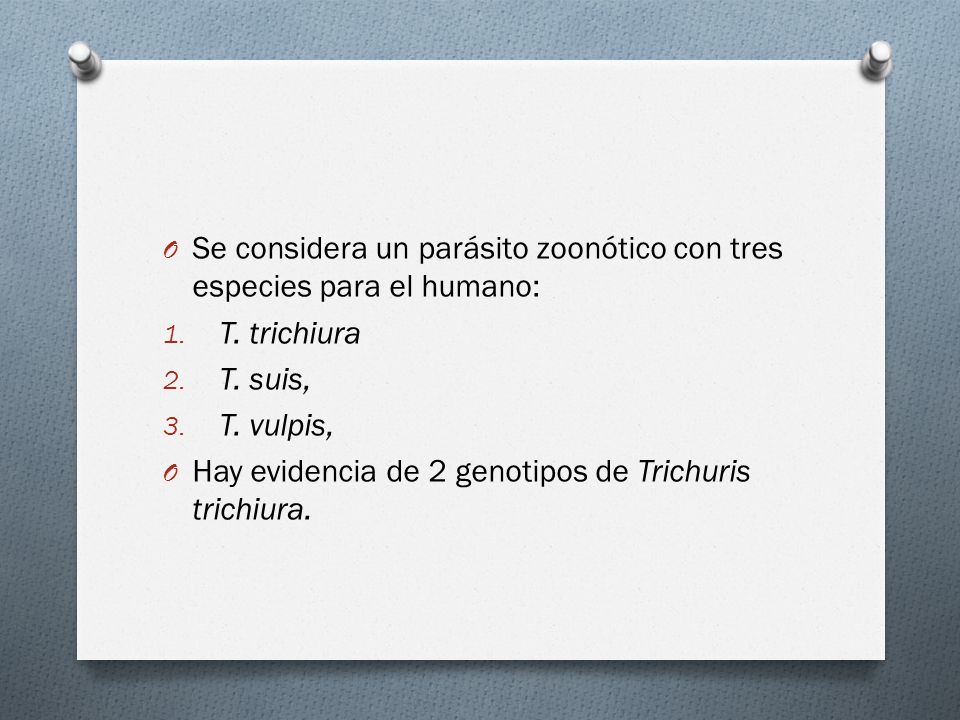 Se considera un parásito zoonótico con tres especies para el humano:
