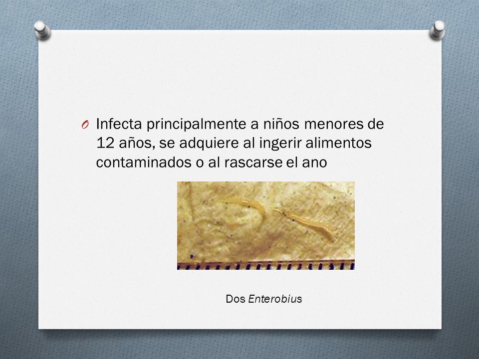 Infecta principalmente a niños menores de 12 años, se adquiere al ingerir alimentos contaminados o al rascarse el ano