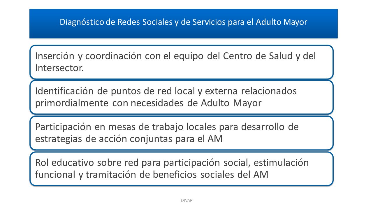 Diagnóstico de Redes Sociales y de Servicios para el Adulto Mayor