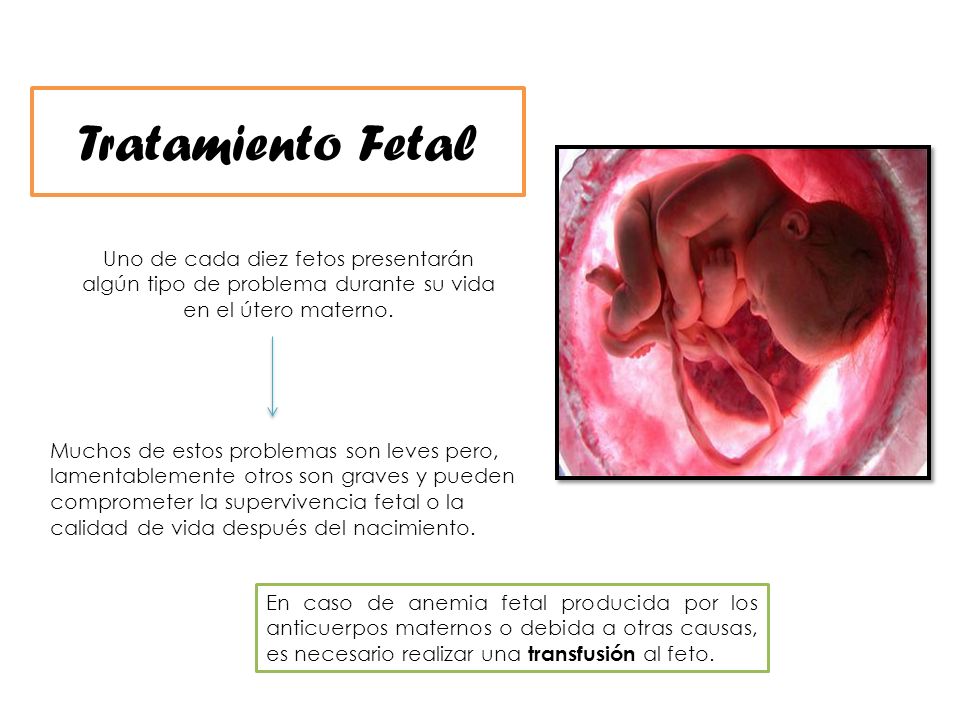 Tratamiento Fetal Uno de cada diez fetos presentarán algún tipo de problema durante su vida en el útero materno.