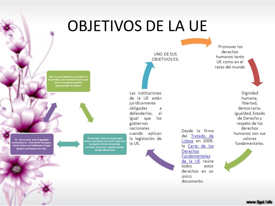 OBJETIVOS DE LA UE Promover los derechos humanos tanto UE como en el resto del mundo.