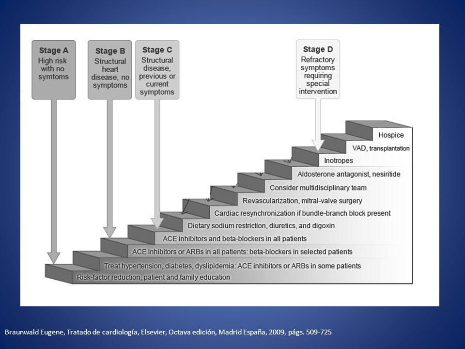 Braunwald Eugene, Tratado de cardiología, Elsevier, Octava edición, Madrid España, 2009, págs.