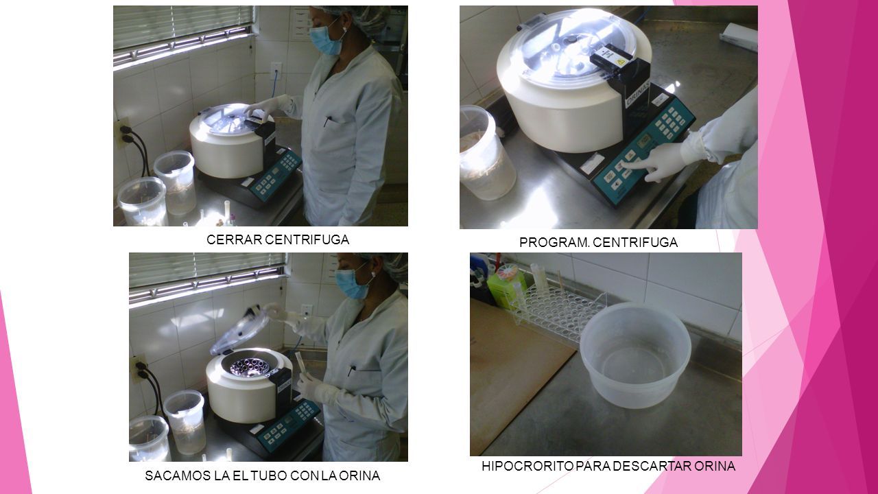 HIPOCRORITO PARA DESCARTAR ORINA SACAMOS LA EL TUBO CON LA ORINA