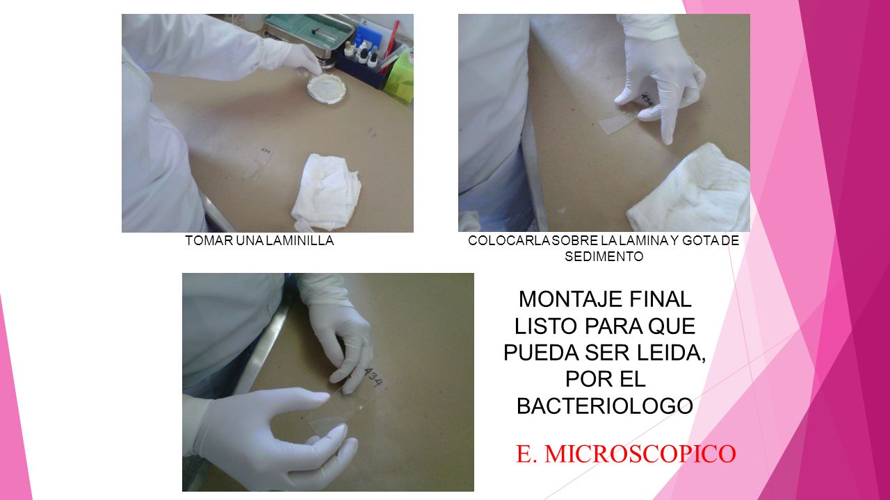 TOMAR UNA LAMINILLA COLOCARLA SOBRE LA LAMINA Y GOTA DE SEDIMENTO. MONTAJE FINAL LISTO PARA QUE PUEDA SER LEIDA, POR EL BACTERIOLOGO.