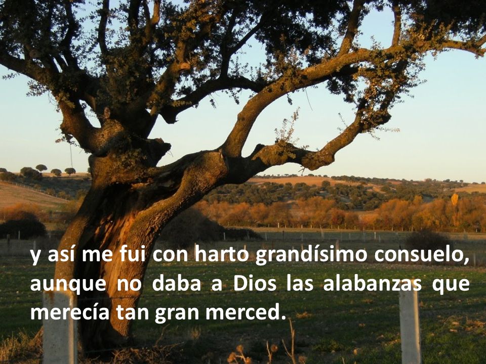y así me fui con harto grandísimo consuelo, aunque no daba a Dios las alabanzas que merecía tan gran merced.