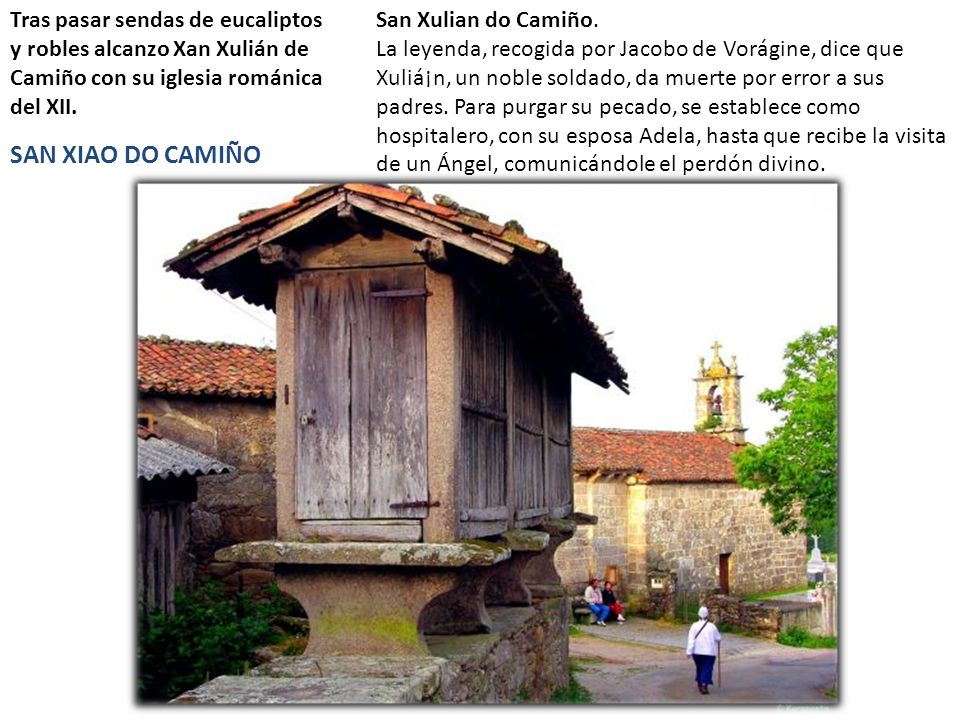 Tras pasar sendas de eucaliptos y robles alcanzo Xan Xulián de Camiño con su iglesia románica del XII.