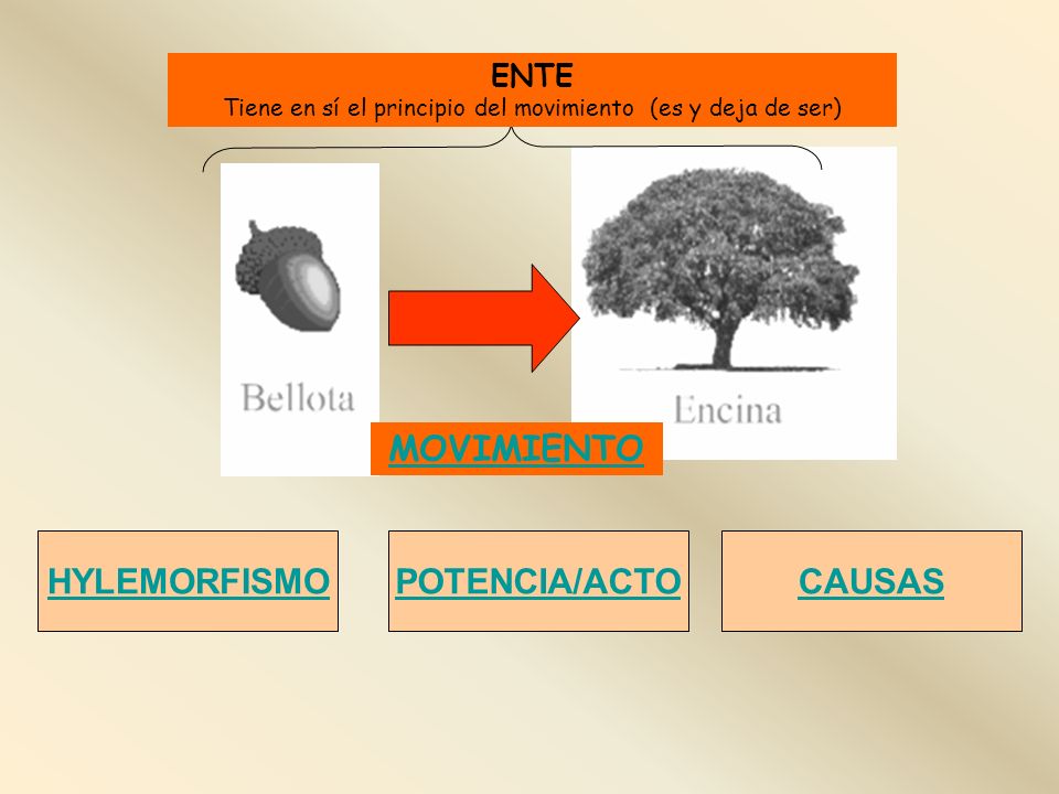 Tiene en sí el principio del movimiento (es y deja de ser)