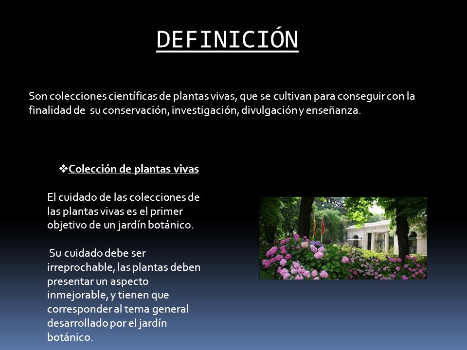 Colección de plantas vivas