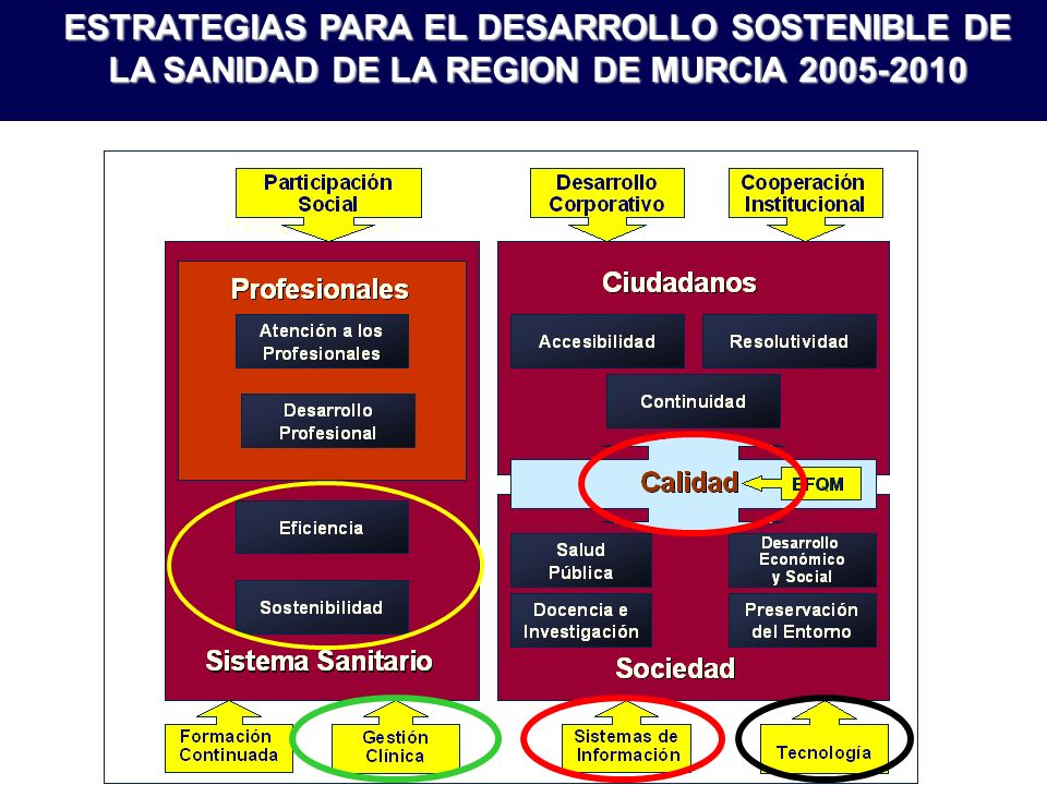 ESTRATEGIAS PARA EL DESARROLLO SOSTENIBLE DE LA SANIDAD DE LA REGION DE MURCIA