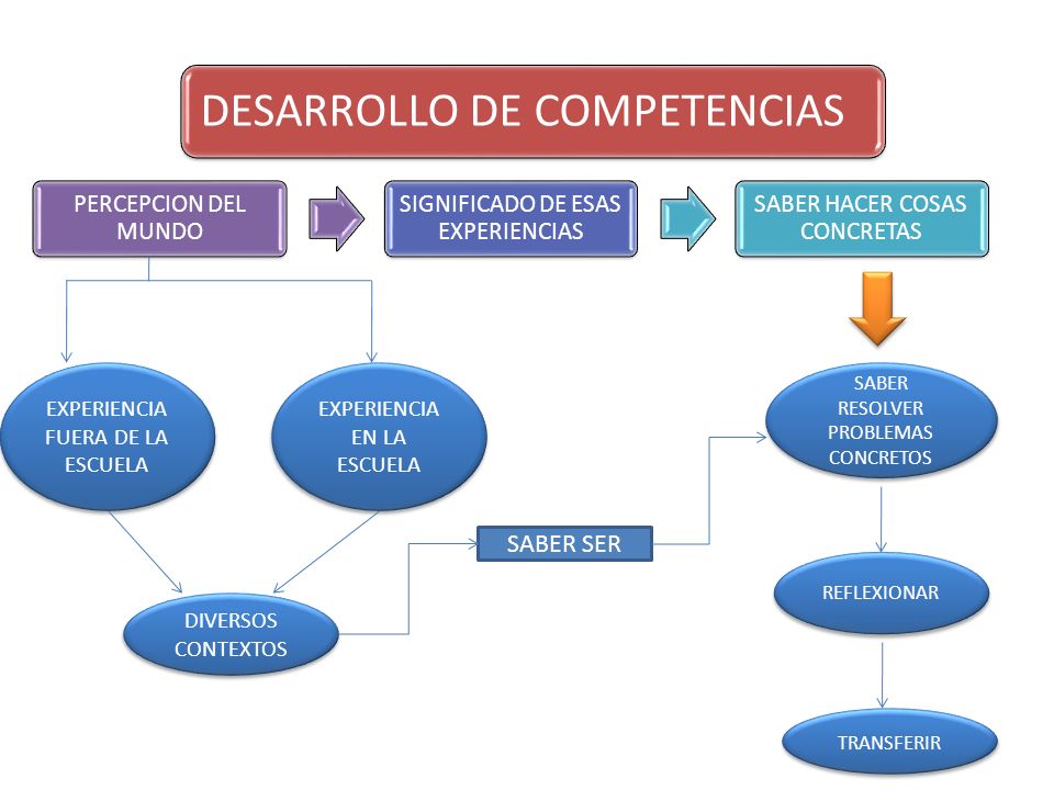 SABER SER EXPERIENCIA FUERA DE LA ESCUELA EXPERIENCIA EN LA ESCUELA