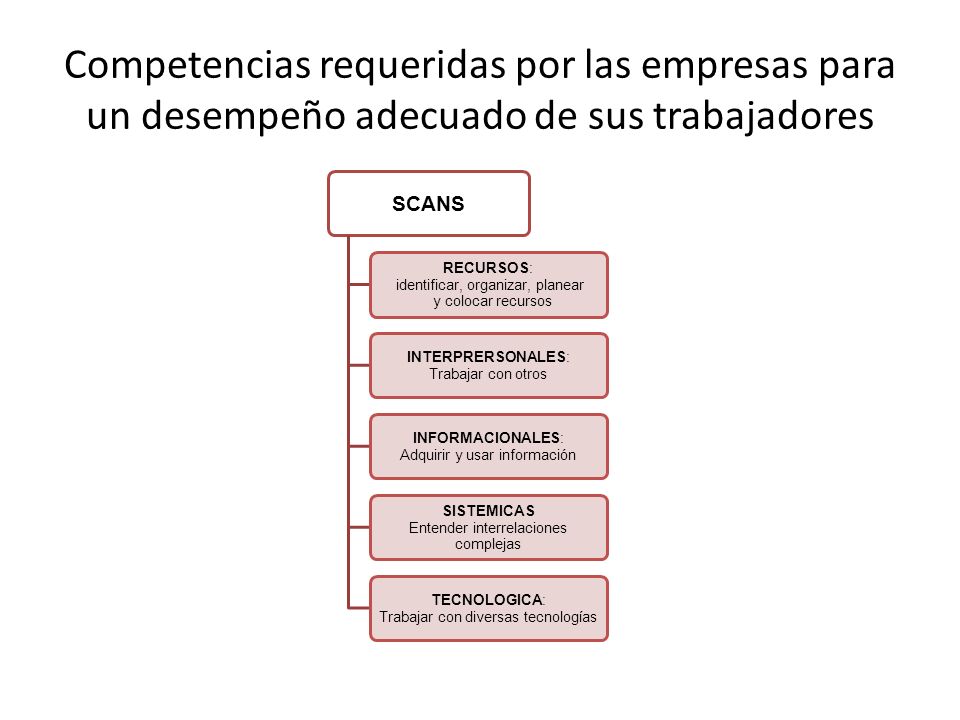 Competencias requeridas por las empresas para un desempeño adecuado de sus trabajadores