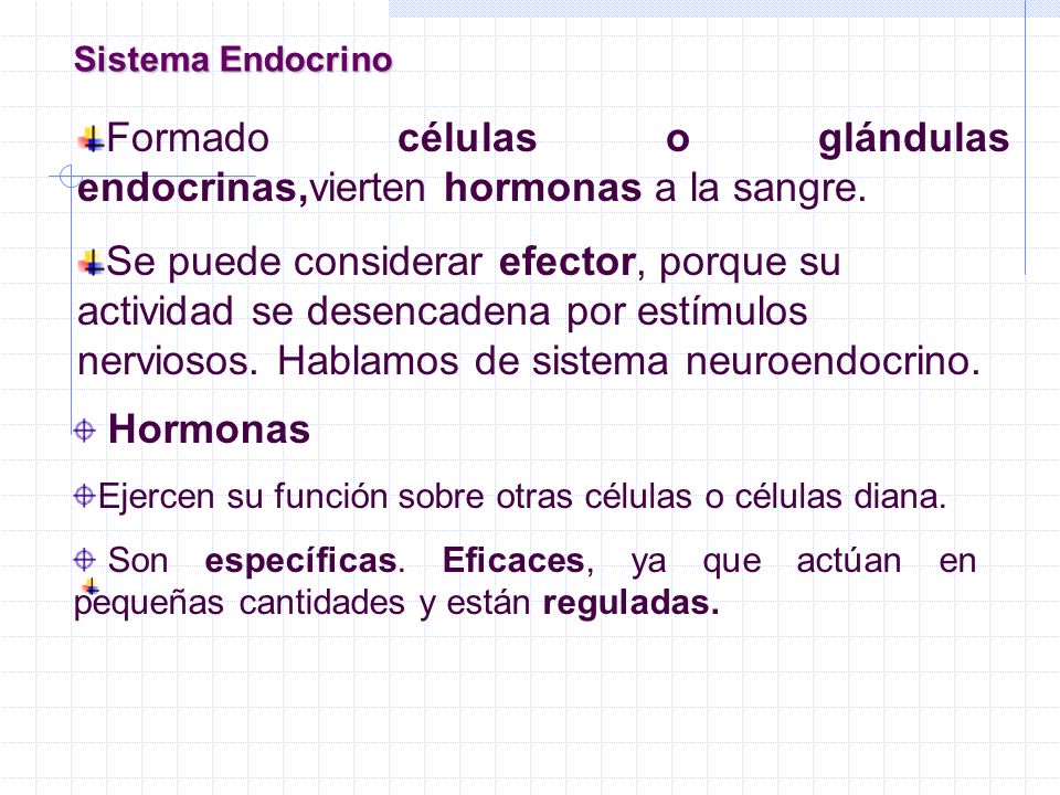 Formado células o glándulas endocrinas,vierten hormonas a la sangre.