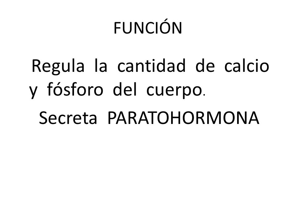 Regula la cantidad de calcio y fósforo del cuerpo.
