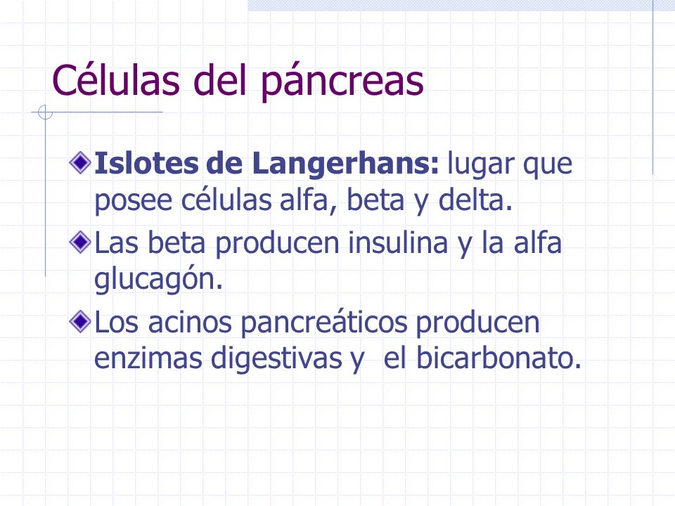 Células del páncreas Islotes de Langerhans: lugar que posee células alfa, beta y delta. Las beta producen insulina y la alfa glucagón.