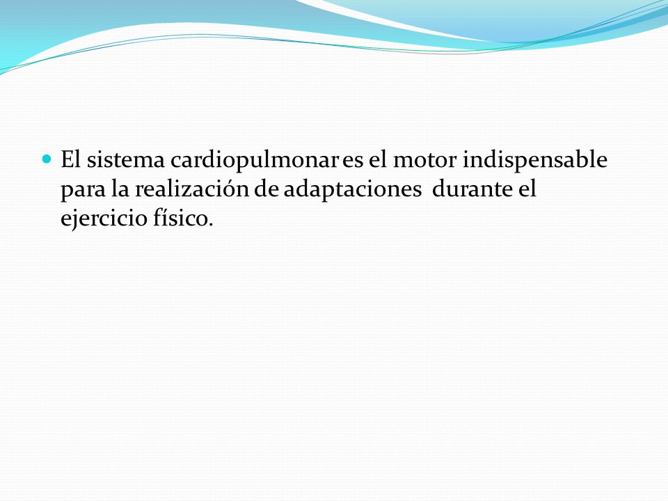 El sistema cardiopulmonar es el motor indispensable para la realización de adaptaciones durante el ejercicio físico.