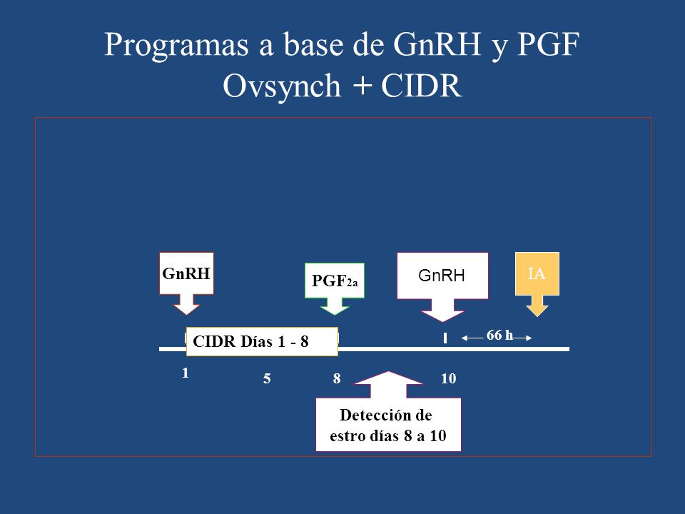Programas a base de GnRH y PGF Ovsynch + CIDR
