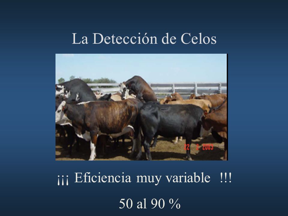 La Detección de Celos ¡¡¡ Eficiencia muy variable !!! 50 al 90 % 40