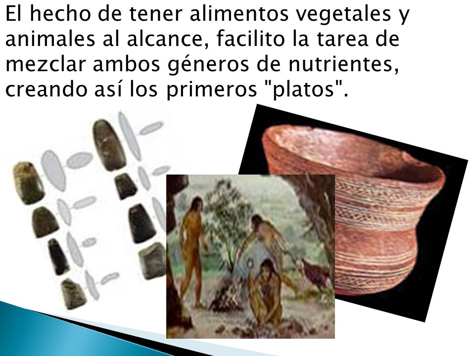 El hecho de tener alimentos vegetales y animales al alcance, facilito la tarea de mezclar ambos géneros de nutrientes, creando así los primeros platos .