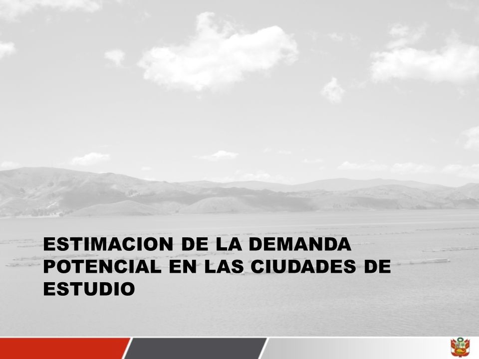 ESTIMACION DE LA DEMANDA POTENCIAL EN LAS CIUDADES DE ESTUDIO