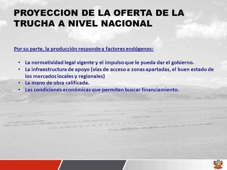 PROYECCION DE LA OFERTA DE LA TRUCHA A NIVEL NACIONAL