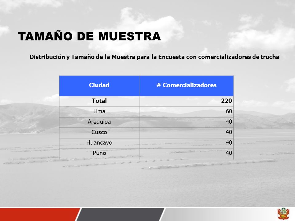 TAMAÑO DE MUESTRA Distribución y Tamaño de la Muestra para la Encuesta con comercializadores de trucha.