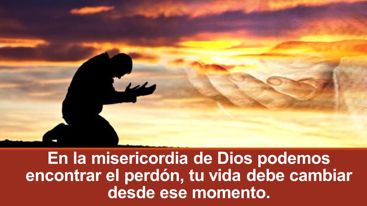 En la misericordia de Dios podemos encontrar el perdón, tu vida debe cambiar desde ese momento.