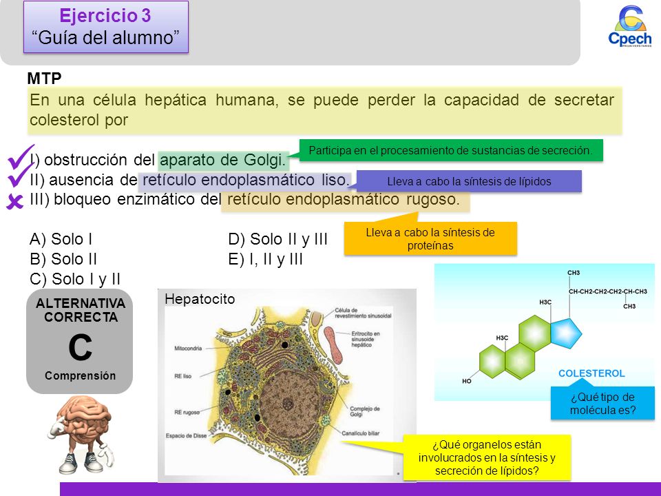    C Ejercicio 3 Guía del alumno MTP