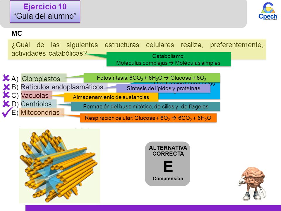      E Ejercicio 10 Guía del alumno MC