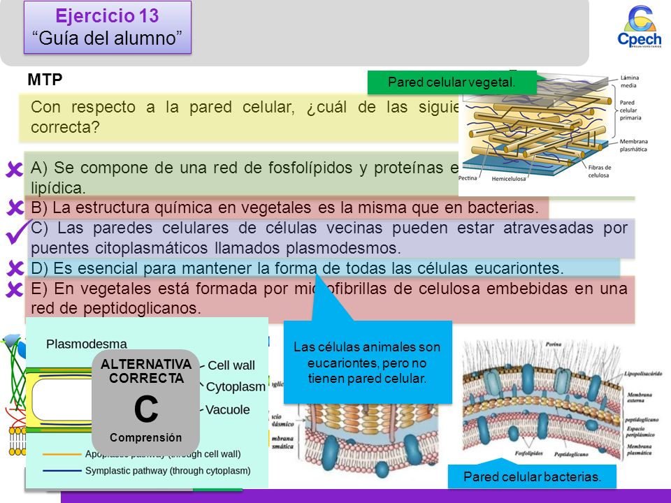      C Ejercicio 13 Guía del alumno MTP