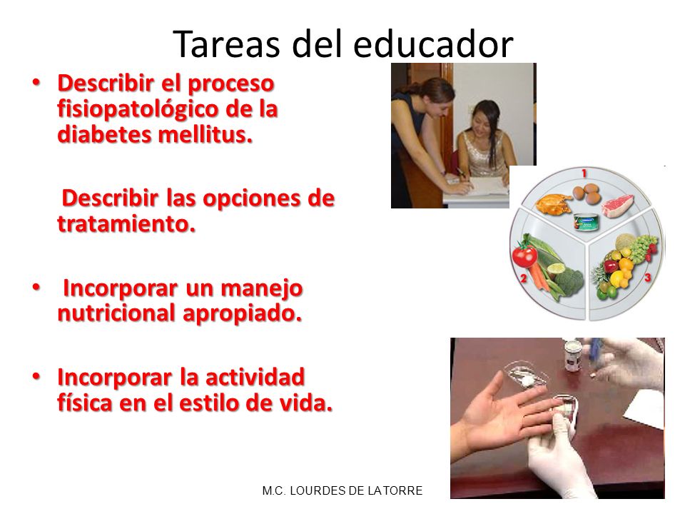 Tareas del educador Describir el proceso fisiopatológico de la diabetes mellitus. Describir las opciones de tratamiento.