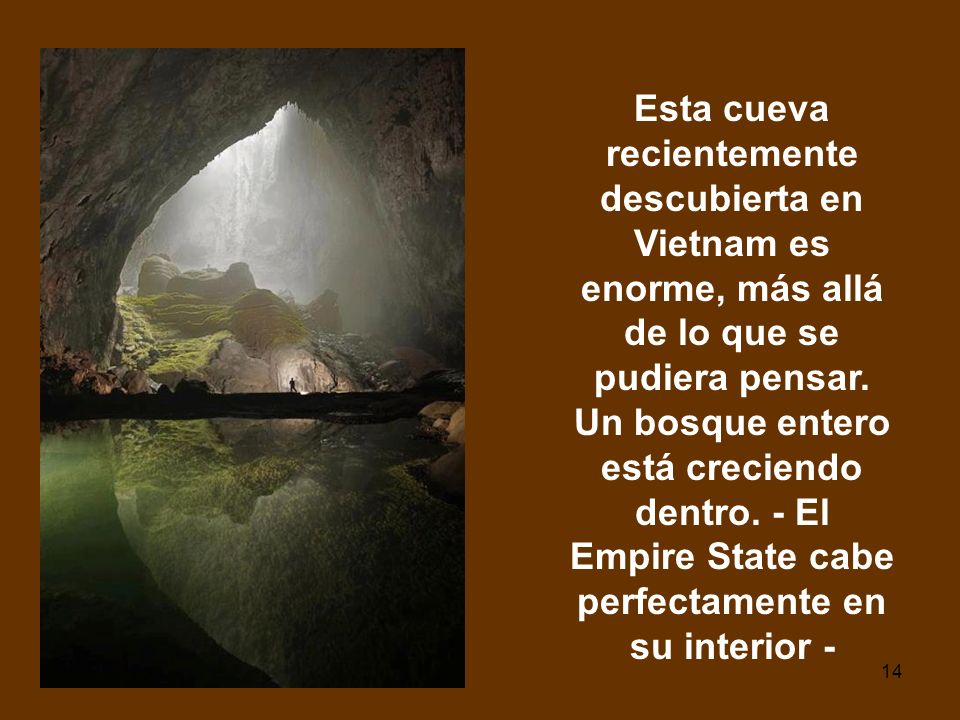Esta cueva recientemente descubierta en Vietnam es enorme, más allá de lo que se pudiera pensar.