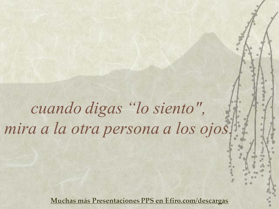 cuando digas lo siento , mira a la otra persona a los ojos.