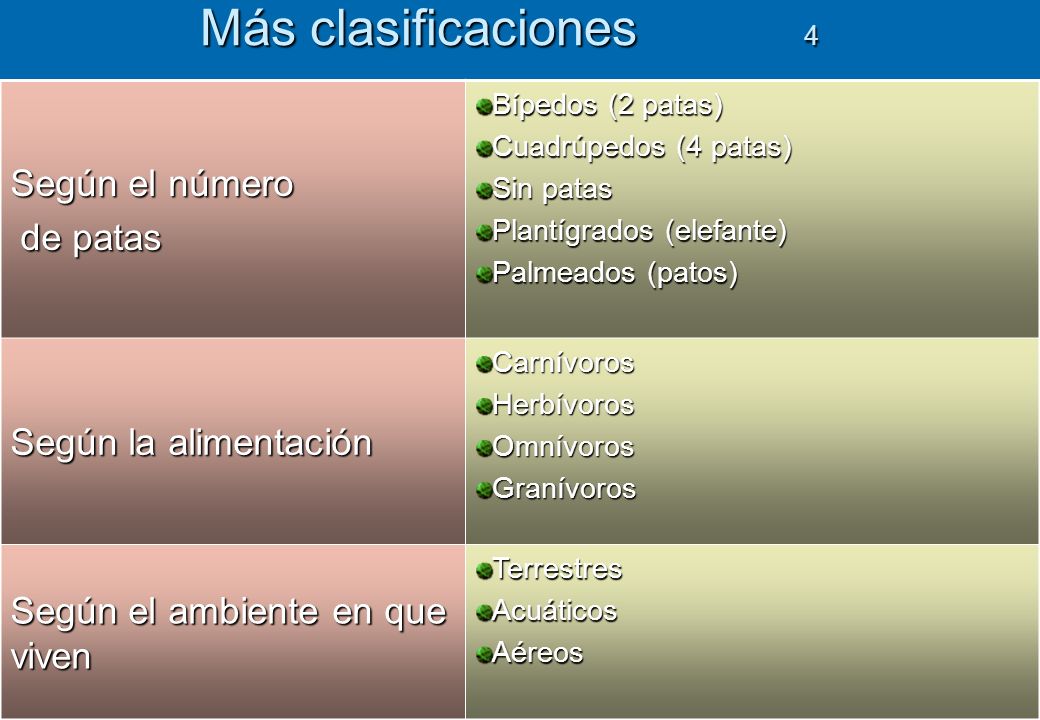 Más clasificaciones 4 Según el número de patas Según la alimentación