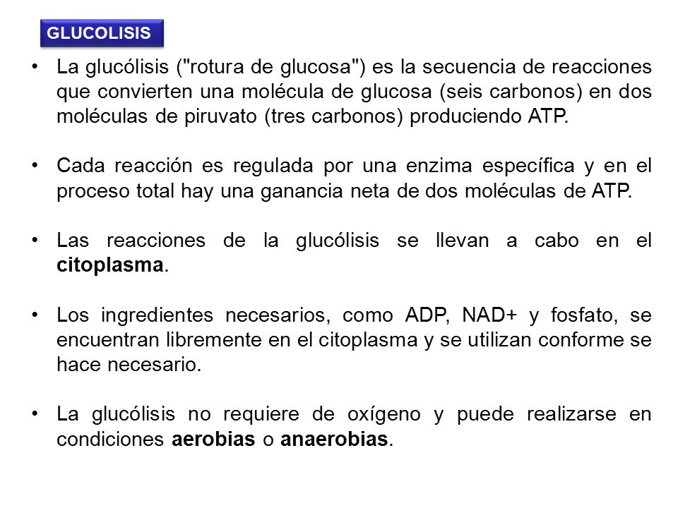 Las reacciones de la glucólisis se llevan a cabo en el citoplasma.
