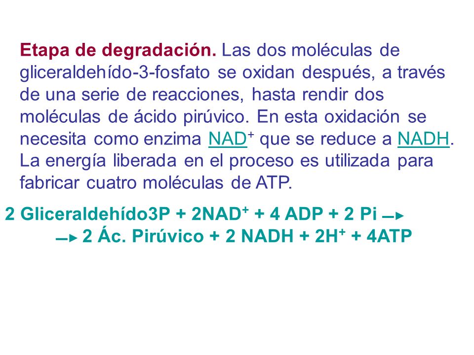 2 Gliceraldehído3P + 2NAD+ + 4 ADP + 2 Pi ▬►