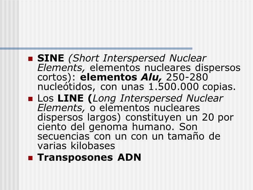 SINE (Short Interspersed Nuclear Elements, elementos nucleares dispersos cortos): elementos Alu, nucleótidos, con unas copias.