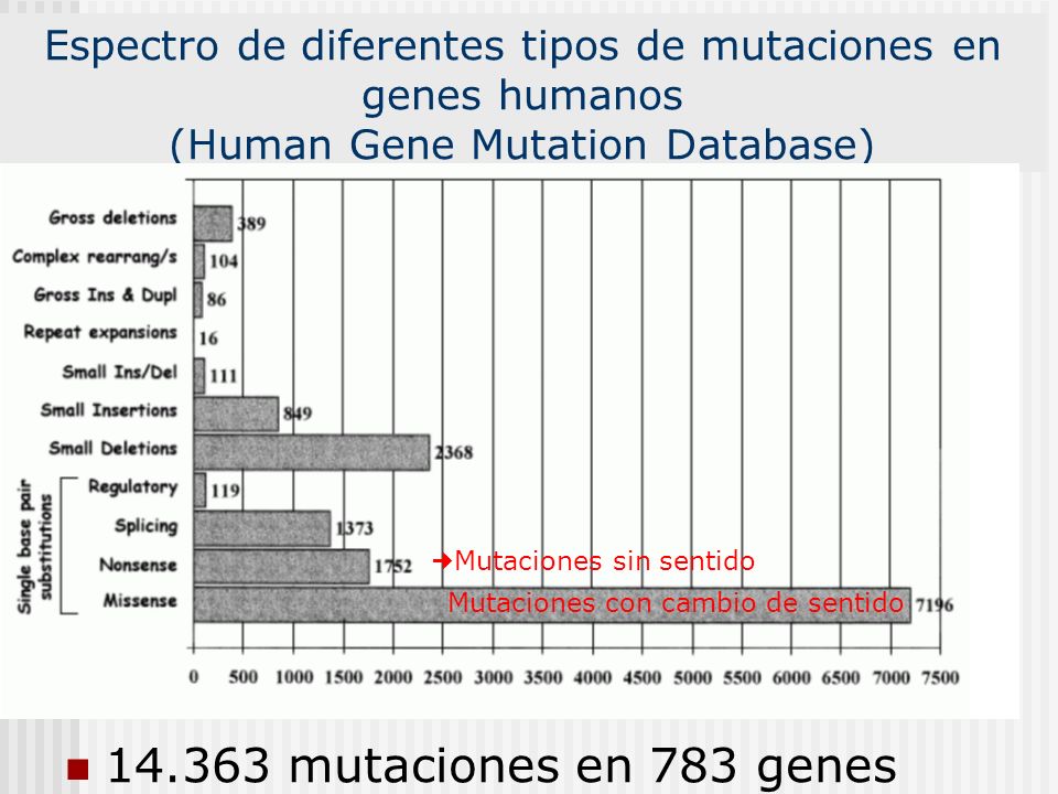Espectro de diferentes tipos de mutaciones en genes humanos (Human Gene Mutation Database)