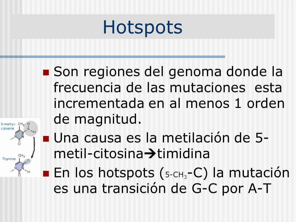 Hotspots Son regiones del genoma donde la frecuencia de las mutaciones esta incrementada en al menos 1 orden de magnitud.