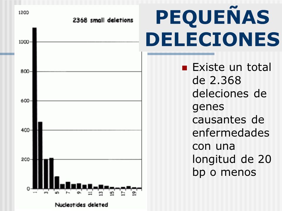 PEQUEÑAS DELECIONES Existe un total de deleciones de genes causantes de enfermedadescon una longitud de 20 bp o menos.