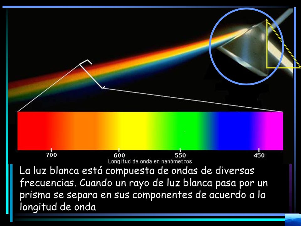 La luz blanca está compuesta de ondas de diversas frecuencias