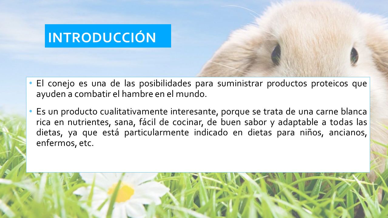 INTRODUCCIÓN El conejo es una de las posibilidades para suministrar productos proteicos que ayuden a combatir el hambre en el mundo.