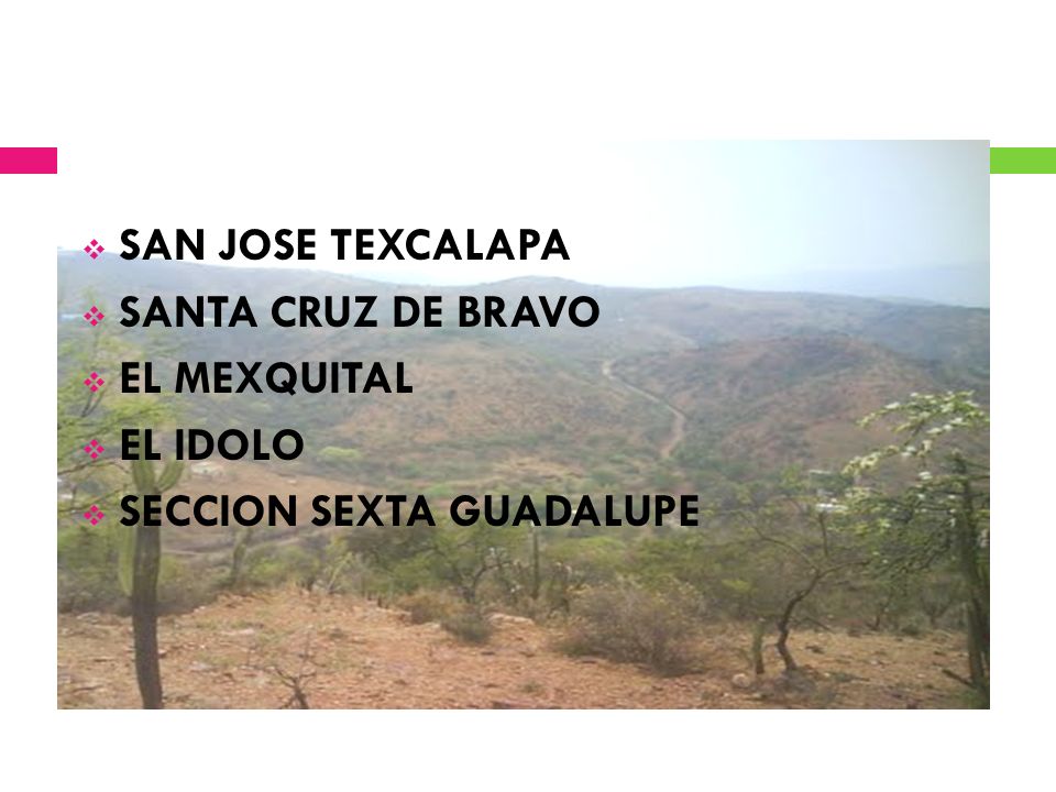 SAN JOSE TEXCALAPA SANTA CRUZ DE BRAVO EL MEXQUITAL EL IDOLO SECCION SEXTA GUADALUPE