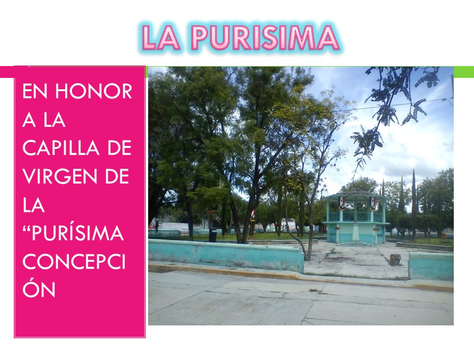 LA PURISIMA EN HONOR A LA CAPILLA DE VIRGEN DE LA PURÍSIMA CONCEPCI ÓN