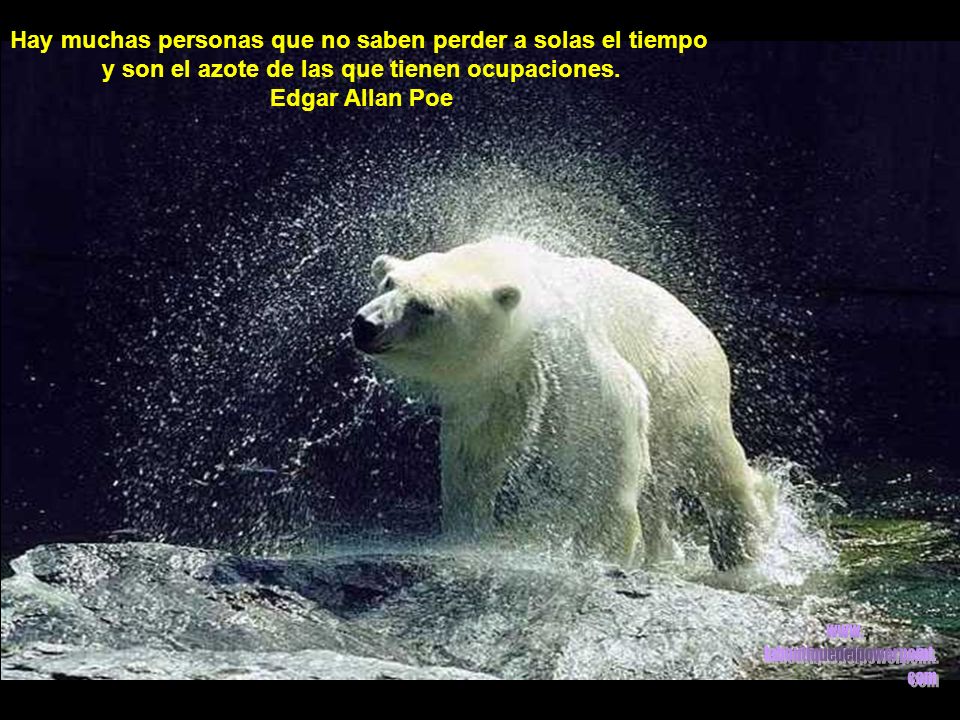 Hay muchas personas que no saben perder a solas el tiempo