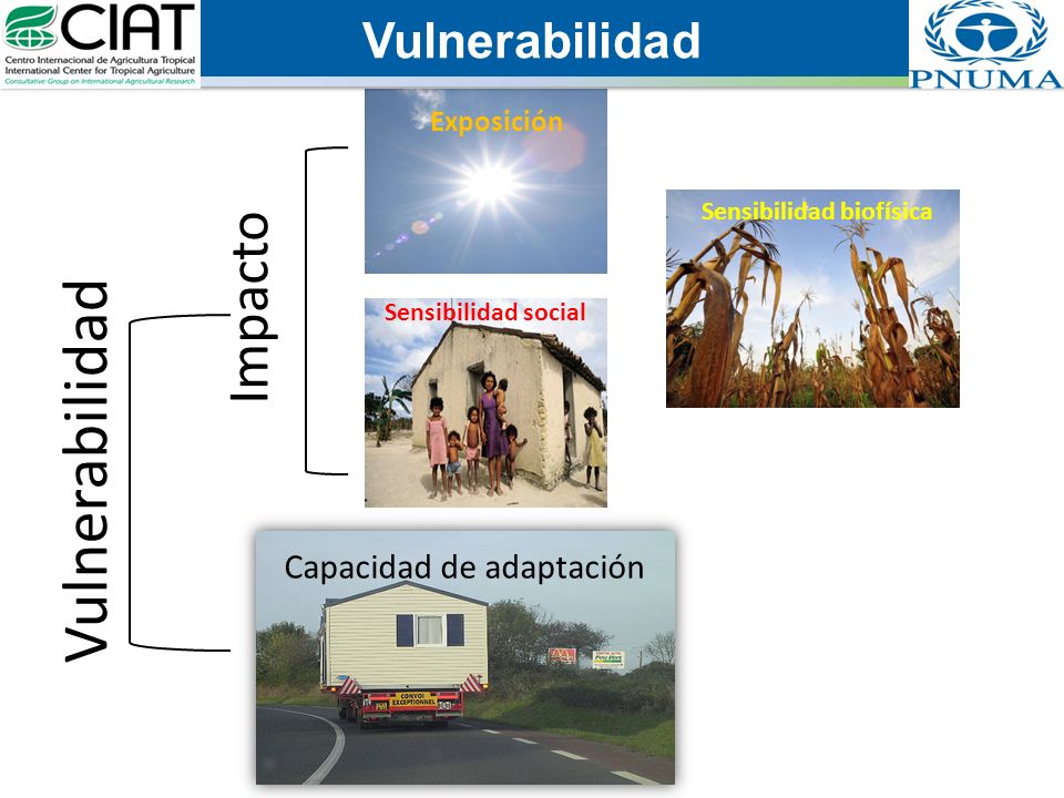 Capacidad de adaptación